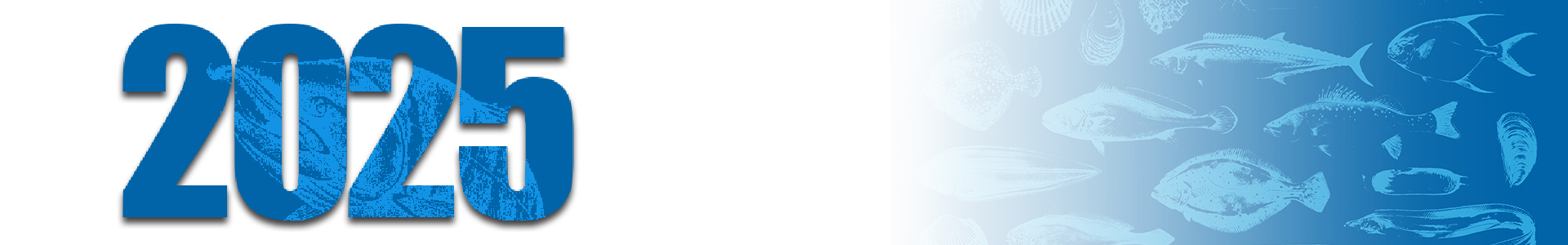 青岛市海洋生态研究会年度报告2025年报